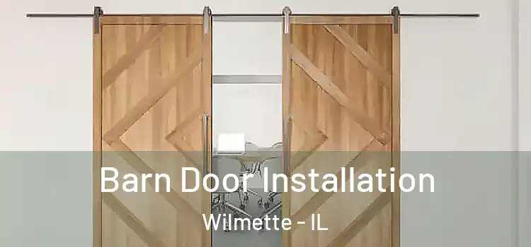  Barn Door Installation Wilmette - IL