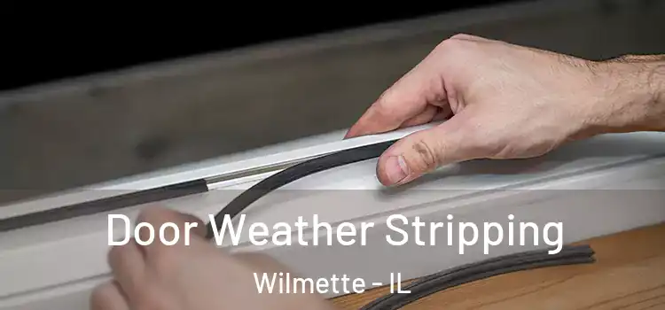 Door Weather Stripping Wilmette - IL