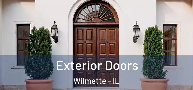 Exterior Doors Wilmette - IL