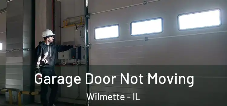  Garage Door Not Moving Wilmette - IL