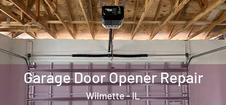  Garage Door Opener Repair Wilmette - IL