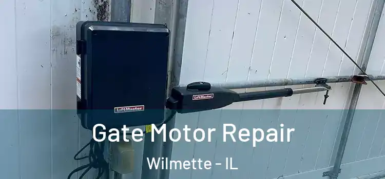 Gate Motor Repair Wilmette - IL