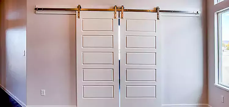 Glass Barn Door with Installation Hardware Kit Wilmette