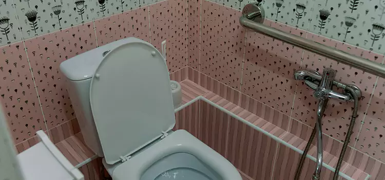 Meeting Diverse Needs With Accessible Restroom Solutions in Wilmette, IL