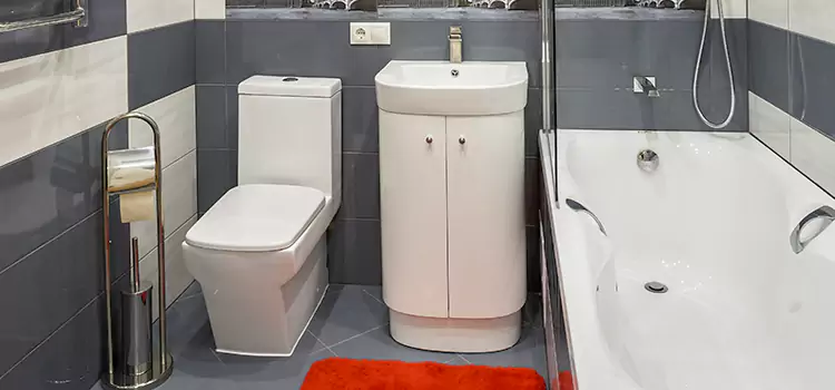 Hansgrohe Shaving Mirror Wilmette