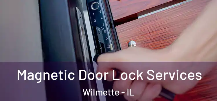 Magnetic Door Lock Services Wilmette - IL