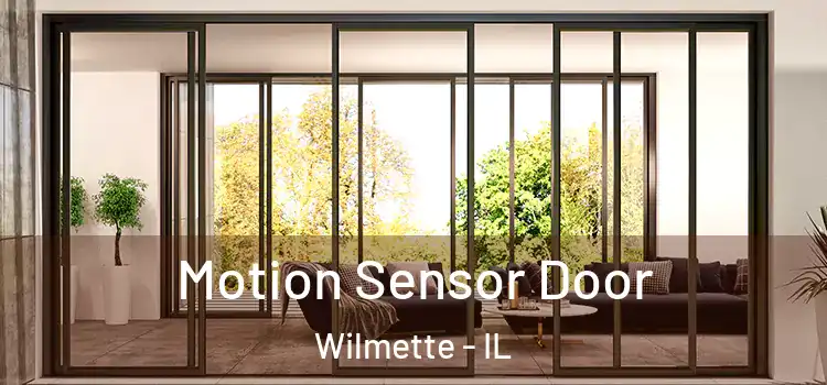  Motion Sensor Door Wilmette - IL
