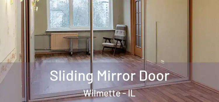  Sliding Mirror Door Wilmette - IL