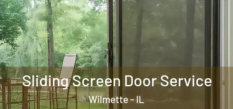 Sliding Screen Door Service Wilmette - IL